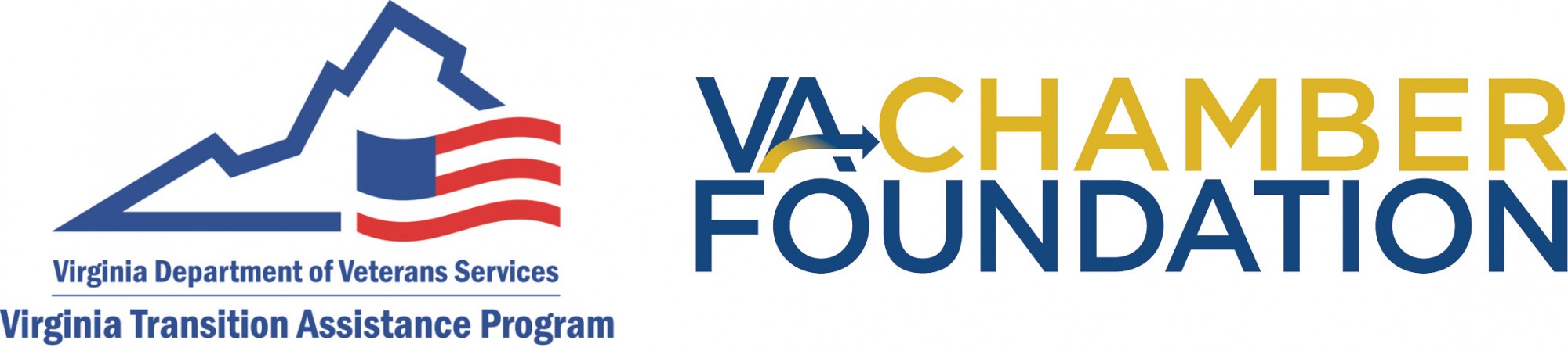 dvs and vcf logo